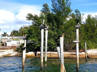 Appartement de vacances Sarasota Environnement 39