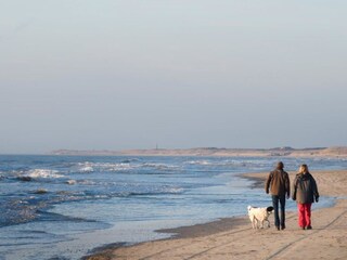 Appartamento per vacanze Callantsoog Ambiente 24