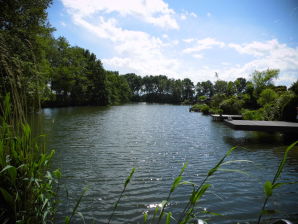 Ferienhaus Seerose (Haus am See) - Vreden - image1