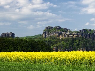 Blick zum Falkenstein