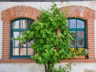 Appartamento per vacanze Rudolstadt Registrazione all'aperto 6