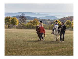 Appartamento per vacanze Rudolstadt Ambiente 23