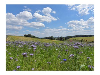 Appartamento per vacanze Rudolstadt Ambiente 33