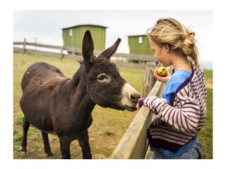 Appartamento per vacanze Rudolstadt Ambiente 26