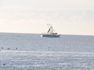Kutter am fischen