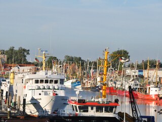 Büsumer Hafen