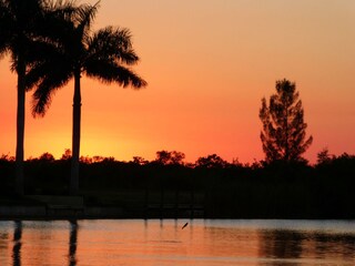 Sunset with jumping fish