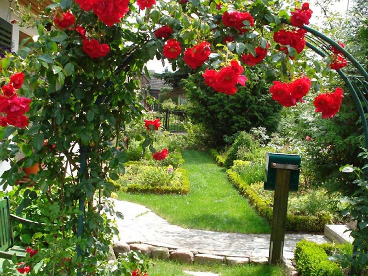 Gartenidyll mit Rosen