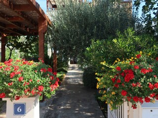 Holiday apartment Biograd Outdoor Recording 9