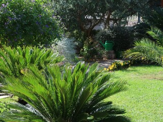 Holiday apartment Biograd Outdoor Recording 14