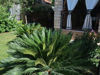 Appartamento per vacanze Biograd Registrazione all'aperto 14