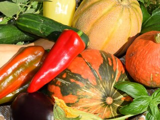 Appartamento per vacanze Biograd Registrazione all'aperto 20