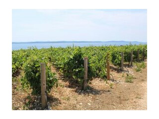 Holiday apartment Biograd Document 42