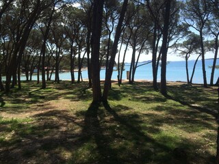 Appartamento per vacanze Biograd Ambiente 38