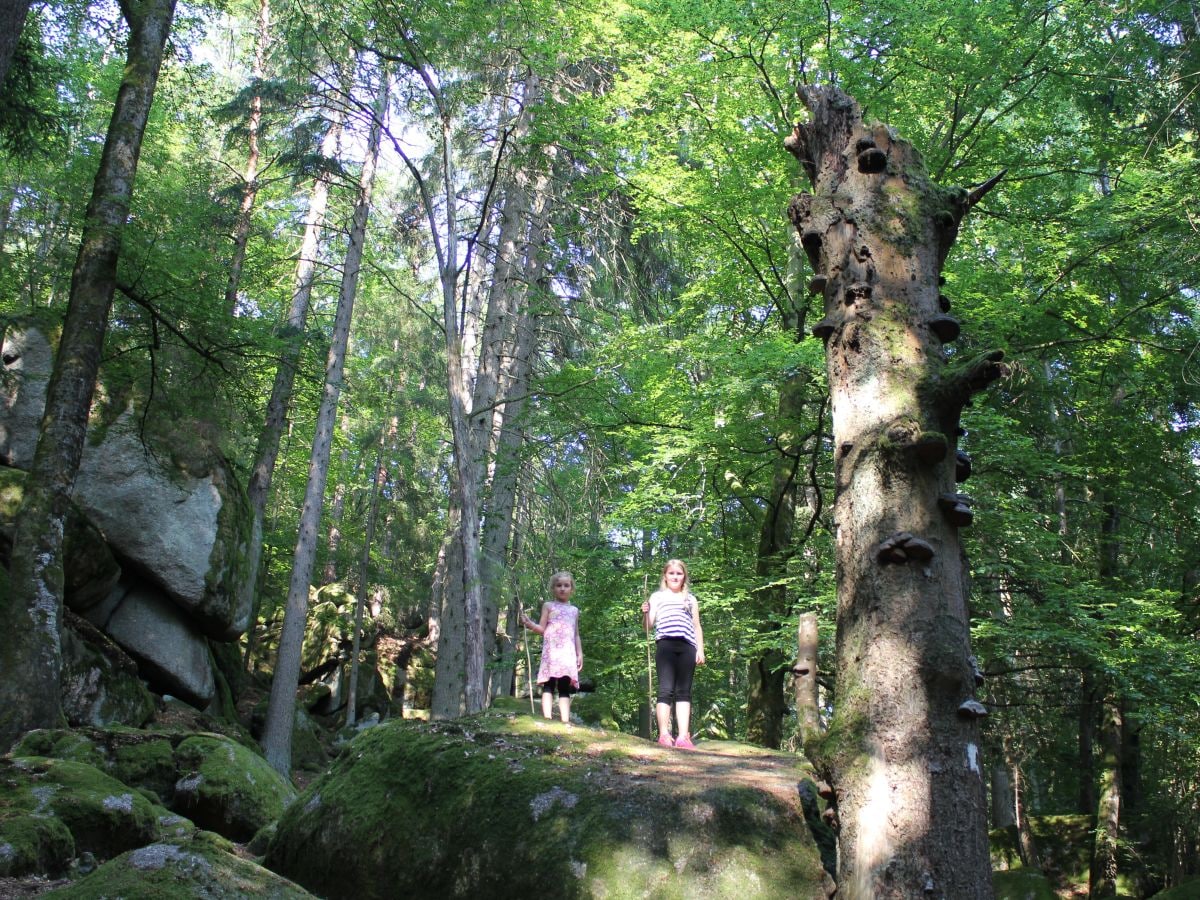 Klettern im Wanderweg "Hölle"