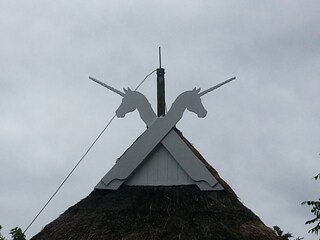 Holiday house Wittenbeck Document 43