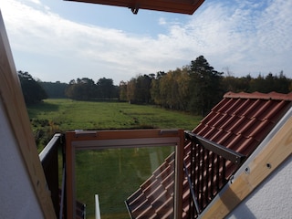 Blick von Ausklappbalkon in Garten/Darßwald