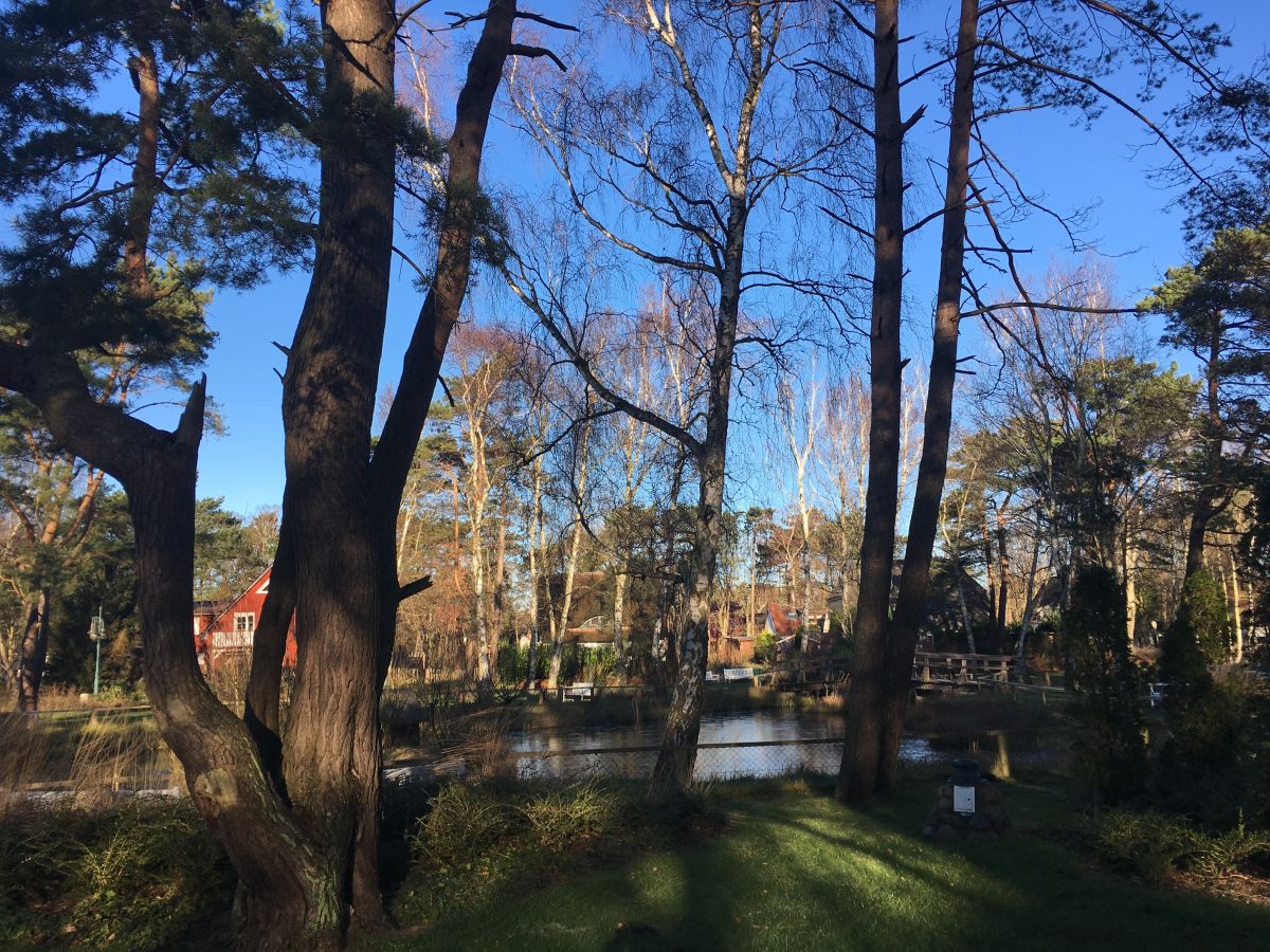 gleich nebenan: der Kurpark von Dierhagen