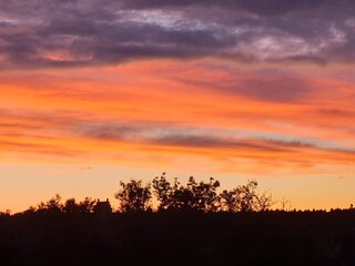 Appartamento per vacanze Meckenbeuren Ambiente 22