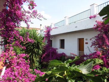 Holiday apartment Patio El Penell