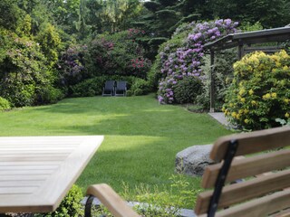 Der gr. Garten m. Terrasse, Freisitz mit 2 Liegestühlen