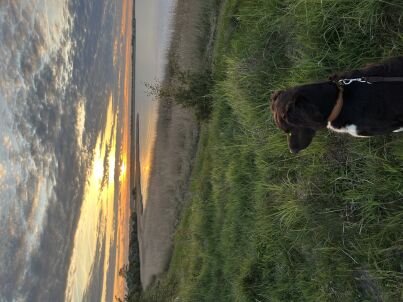 Familie Markus und Stephanie Jalas