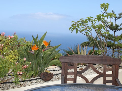 Bungalow Privatsphäre in 4* Hotelanlage - Flor-y-Mar