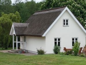 Ferienhaus Fromm - Neuenkirchen auf Rügen - image1