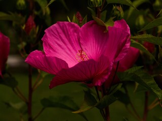 Appartamento Seeboden Registrazione all'aperto 16