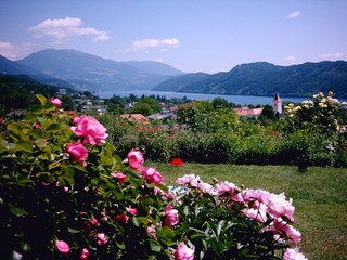 Apartment Seeboden Environment 37