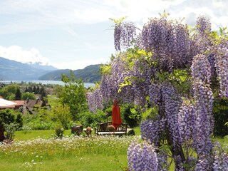 Appartamento Seeboden Ambiente 31