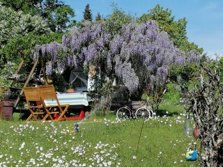 idyllischer Garten