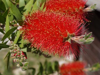 Appartamento per vacanze Ripatransone Ambiente 13