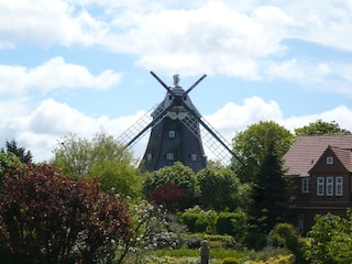 Alte Windmühle