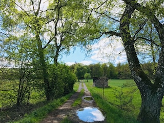 Natur pur in unmittelbarer Umgebung