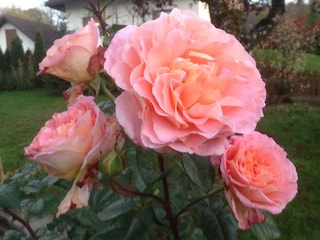 Ferienwohnung Wangen im Allgäu Umgebung 22