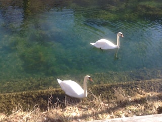 Ferienwohnung Wangen im Allgäu Umgebung 27