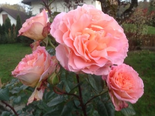 Ferienwohnung Wangen im Allgäu Umgebung 29