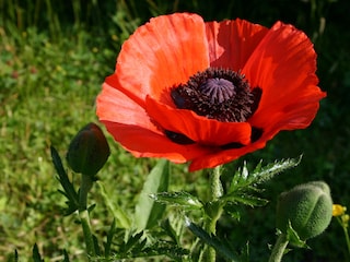 Ferienwohnung Wangen im Allgäu Umgebung 23