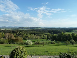Ferienwohnung Wangen im Allgäu Umgebung 20