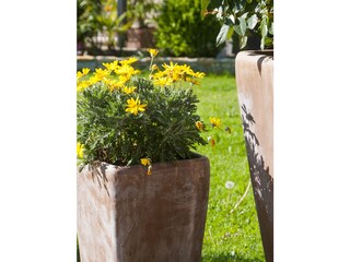 Appartamento per vacanze Torbole sul Garda Registrazione all'aperto 7