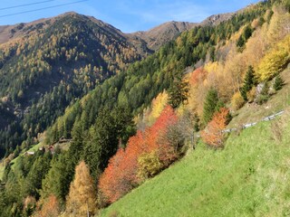 Casa per le vacanze Gais (Südtirol) Ambiente 25