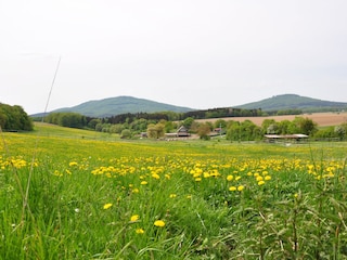 Das Rittergut Friedenthal und die Gleichberg