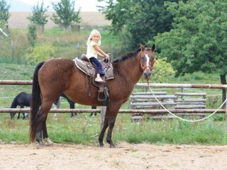 Casa per le vacanze Hildburghausen Ambiente 18
