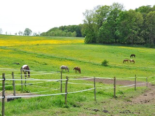 Vakantiehuis Hildburghausen Omgeving 19