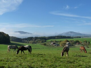 Gut Friedenthal und die Gleichberge