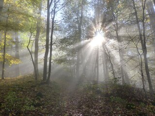 Herbst auf dem Kleinen Gleichberg