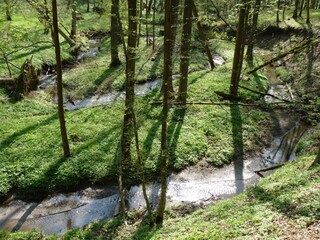 Casa per le vacanze Hildburghausen Ambiente 28