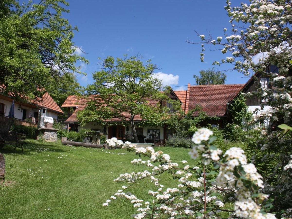 Innenhof Altes Gehöft im Frühling