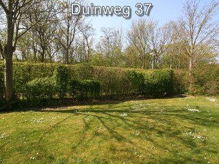 Vakantieappartement Westkapelle Buitenaudio-opname 5